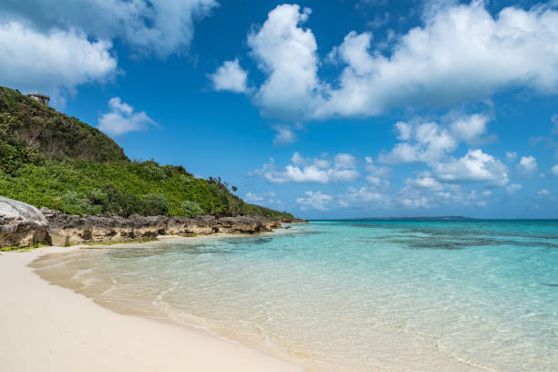 istock Okinawa's fascinating sea 943675904