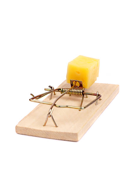 istock Mousetrap with piece of cheese 94367751