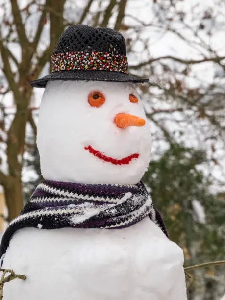 A snowman or Snowwoman with Hat and Scarf