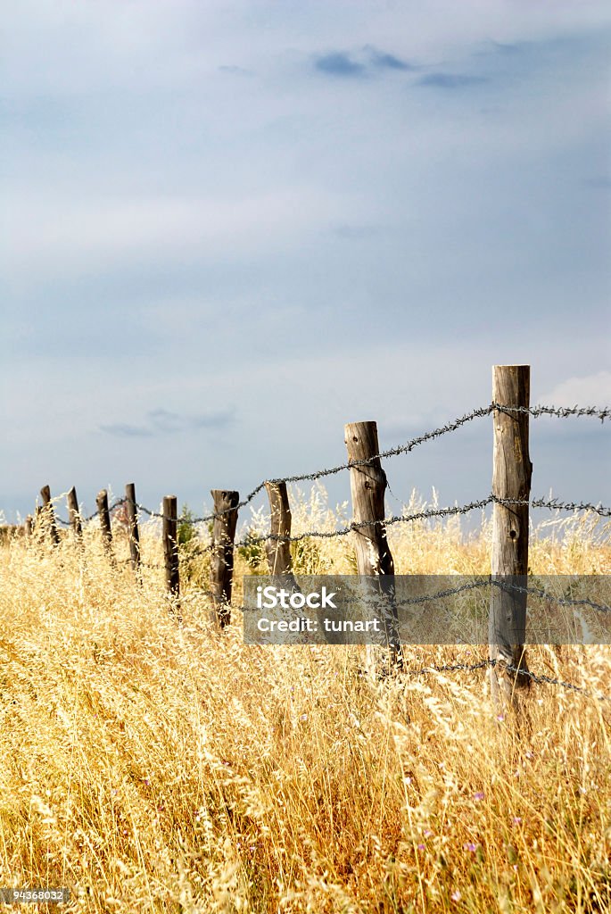 Barrière dans Prairie - Photo de Ciel libre de droits