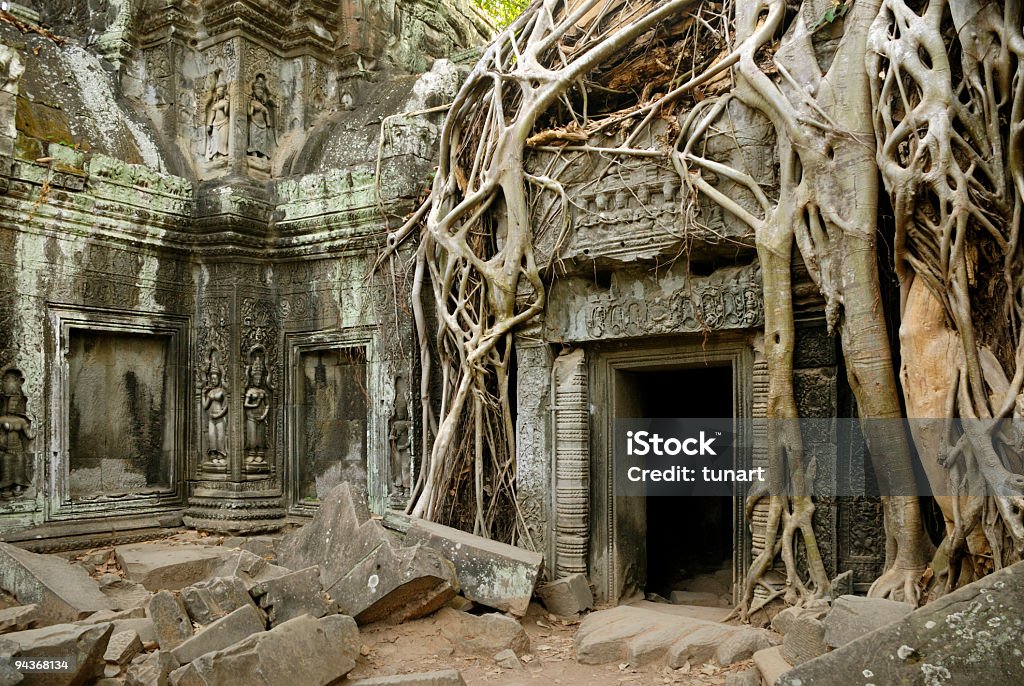 Antica Angkor - Foto stock royalty-free di Albero tropicale