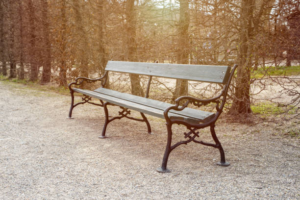 istock Old wooden bench in the park 943682596