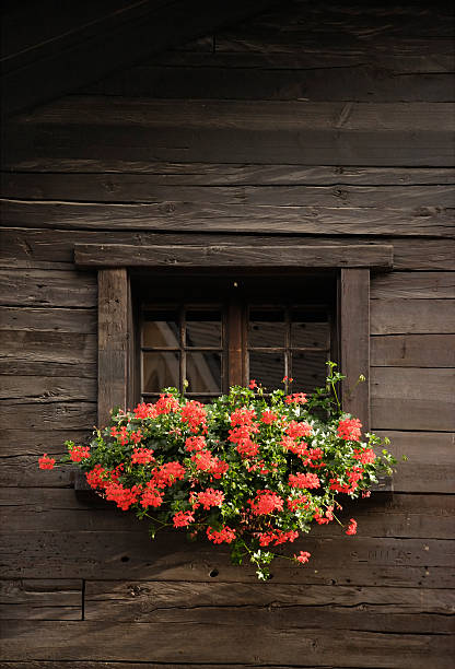 istock Window with flowers in Switzerland 94368378