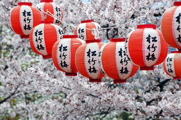Japanese Lanterns and Cherry Blossom, Kyoto, Japan stock photo