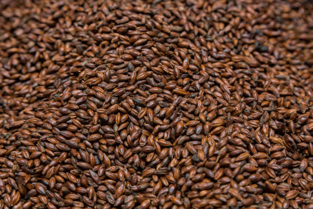 One of the main ingredients for brewing beer of all kinds
