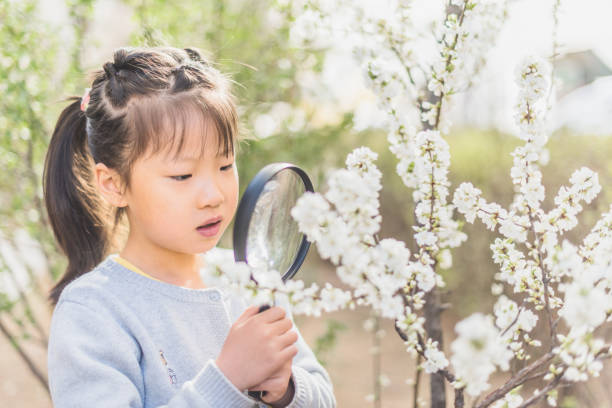 istock Little girl observes flowers with a magnifying glass 943688558