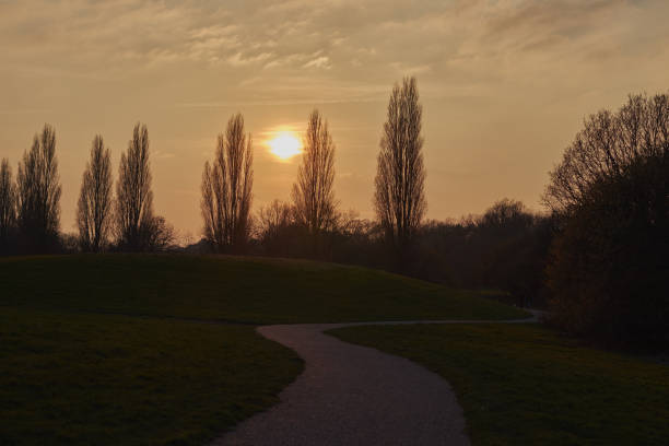 The silhouette of tourists in the park against the background of orange sky