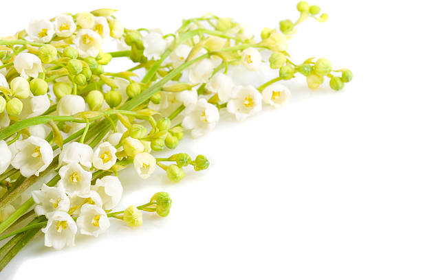 istock bouquet lily of the valley 94369093