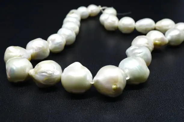 A Pearl necklace isolated on a black background