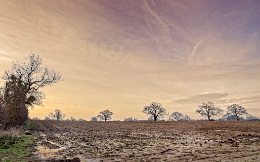 Trees are silhouetted against a dramatic dawn sky with a newly ploughed field.  Puddles of water are in the foreground.
