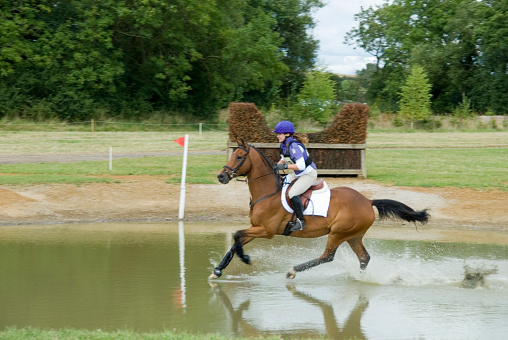 About to make a jump at a equestrian event. Horse galloping through the water.