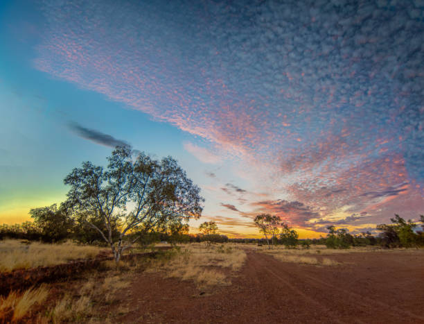 Pink sky with dirt track at sunset in Australia's top end.