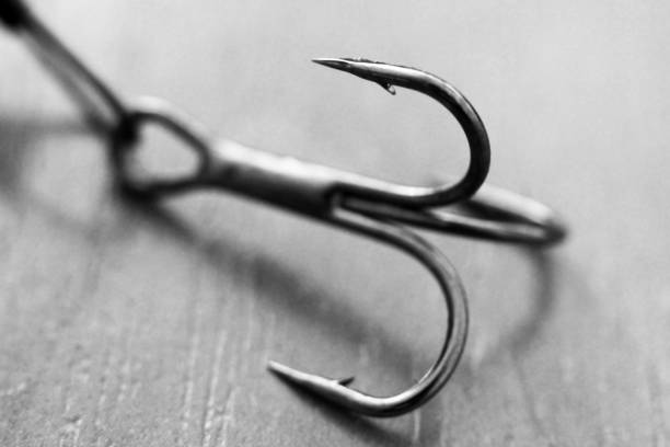 fishing hook on wooden background, macro - mammillaria cactus imagens e fotografias de stock