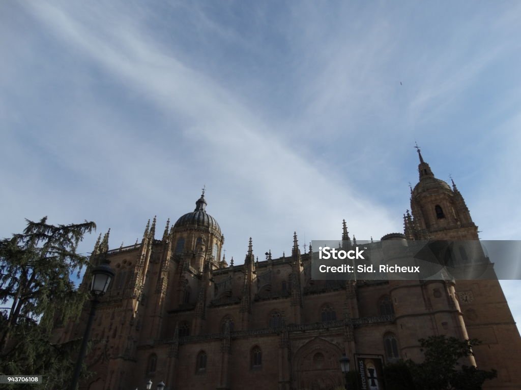 principal de la catedral en salamanca - Foto de stock de 2015 libre de derechos