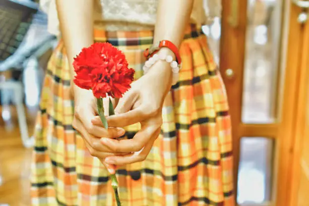 Asian girl is holding and giving the red carnation flower. The red carnation flower meaning Deep Love and Admiration.