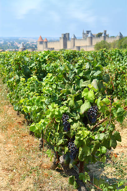istock City of Carcassonne 94370843