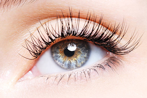 istock Woman eye with a curl false eyelashes 94372034