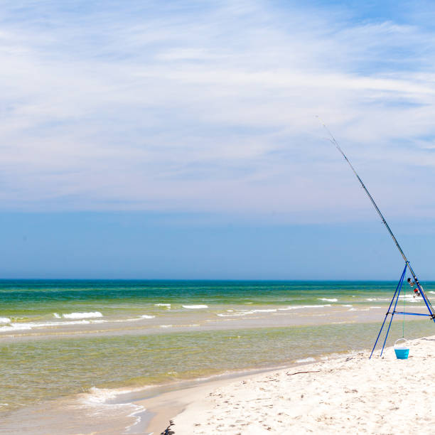 istock Fishing rod left alone on sea shore 943733438