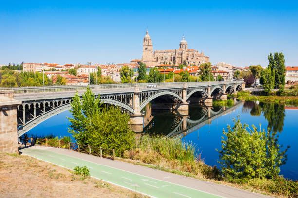 собор саламанка в саламанке, испания - castile and leon стоковые фото и изображения