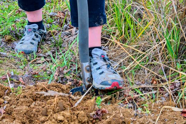 istock Woman digging soil with garden fork. Gardening and hobby concept 943736588
