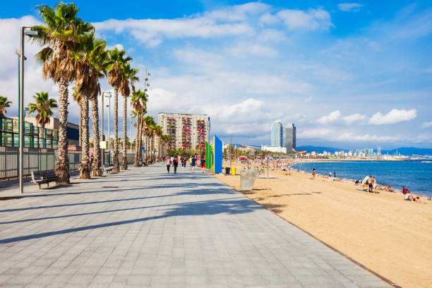 Playa Barceloneta city beach, Barcelona Playa de la Barceloneta city beach in the centre of Barcelona city, Catalonia region of Spain barcelona province stock pictures, royalty-free photos & images