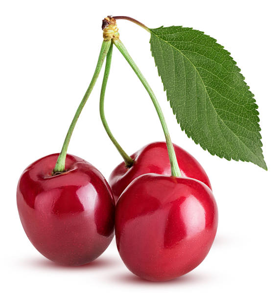 istock Sweet cherry berry, three on a branch with green leaf 943740094