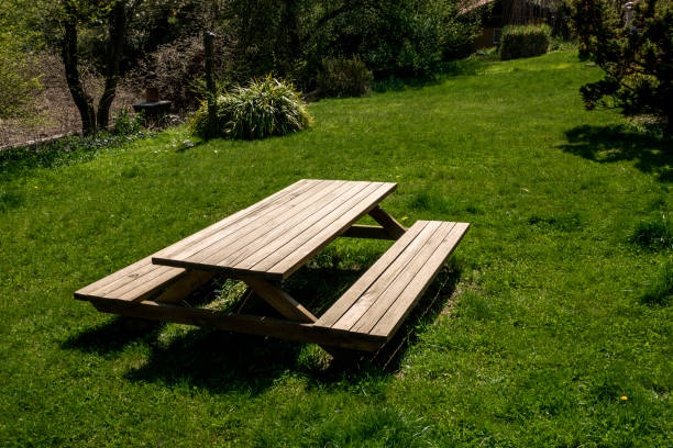 istock Wooden picnic table and bench in garden 943740562