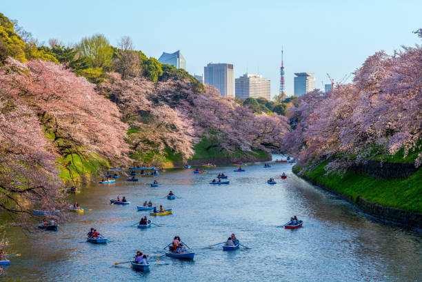 istock chidori ga fuchi 943740622