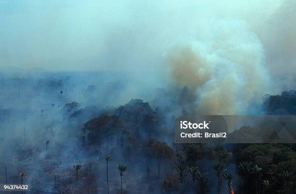 Burning アマゾン - アマゾン地域のストックフォトや画像を多数ご用意 - アマゾン地域, アマゾン熱帯雨林, 森林破壊