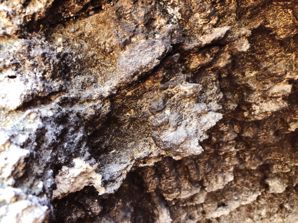 istock Patterns and textures of rocks in nature. 943754586
