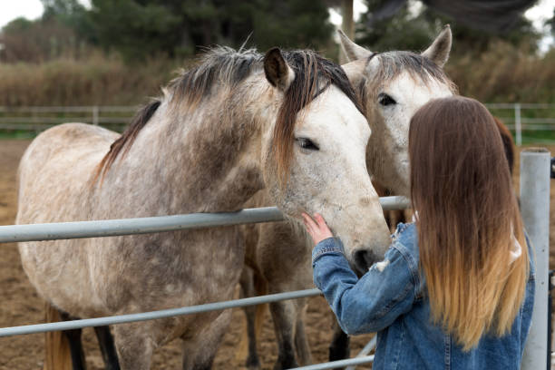 istock Young woman giving affection to some horses. 943759152