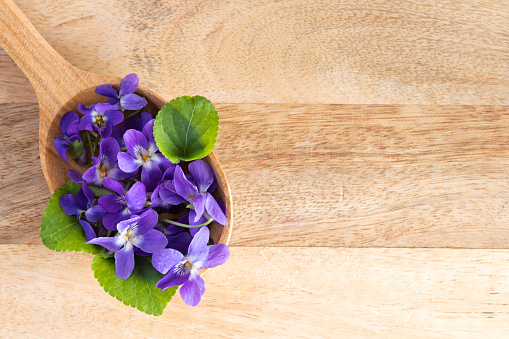 Violet flowers on a wooden spoon with copy space