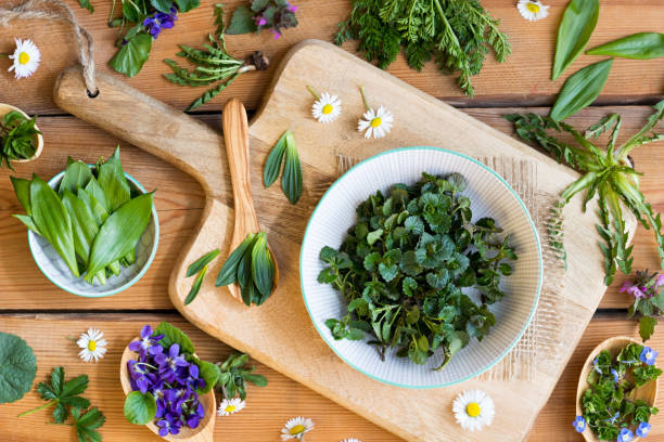 istock Fresh wild edible spring herbs on wooden spoons 943761932