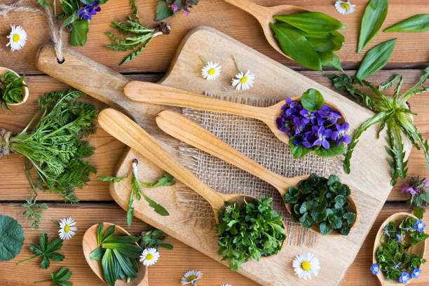 istock Fresh wild edible spring herbs on wooden spoons 943761952