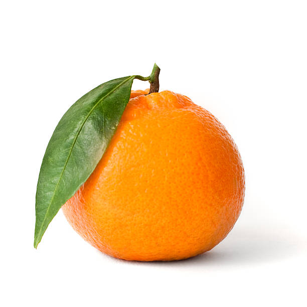 Isolated fresh mandarin stock photo