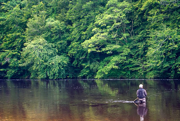River fly fishing  fly fishing scotland stock pictures, royalty-free photos & images