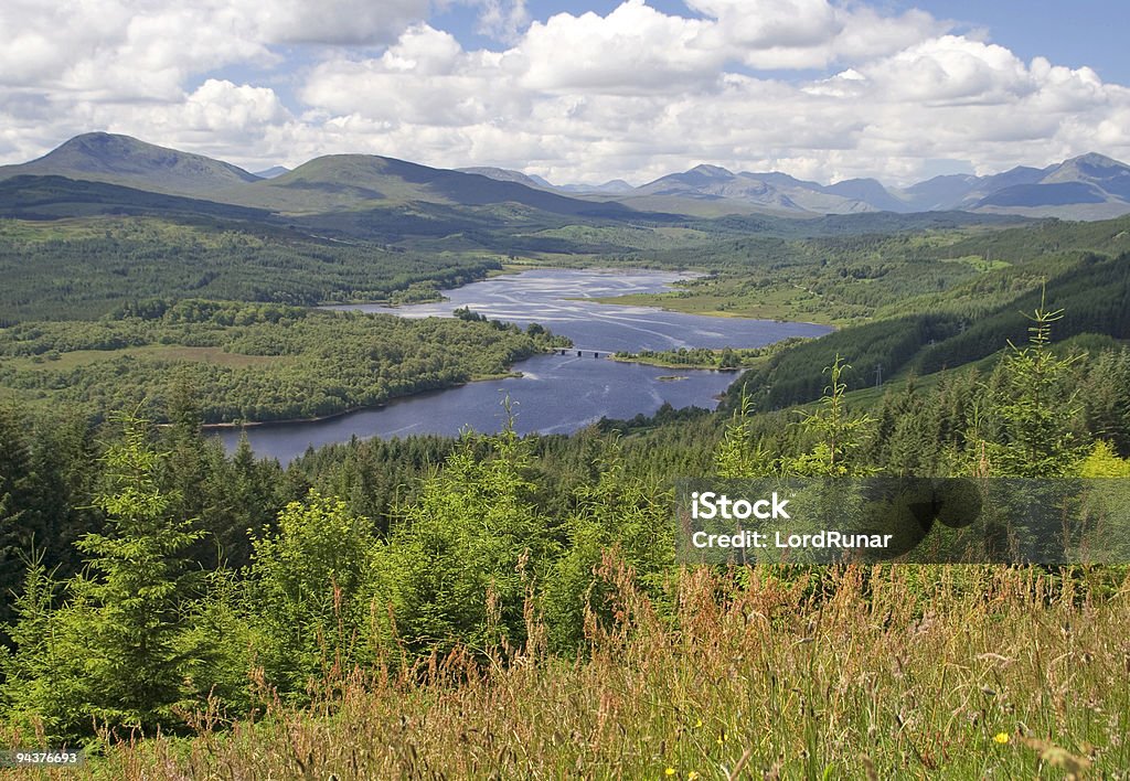 Loch Garry - Foto de stock de Abeto Picea libre de derechos