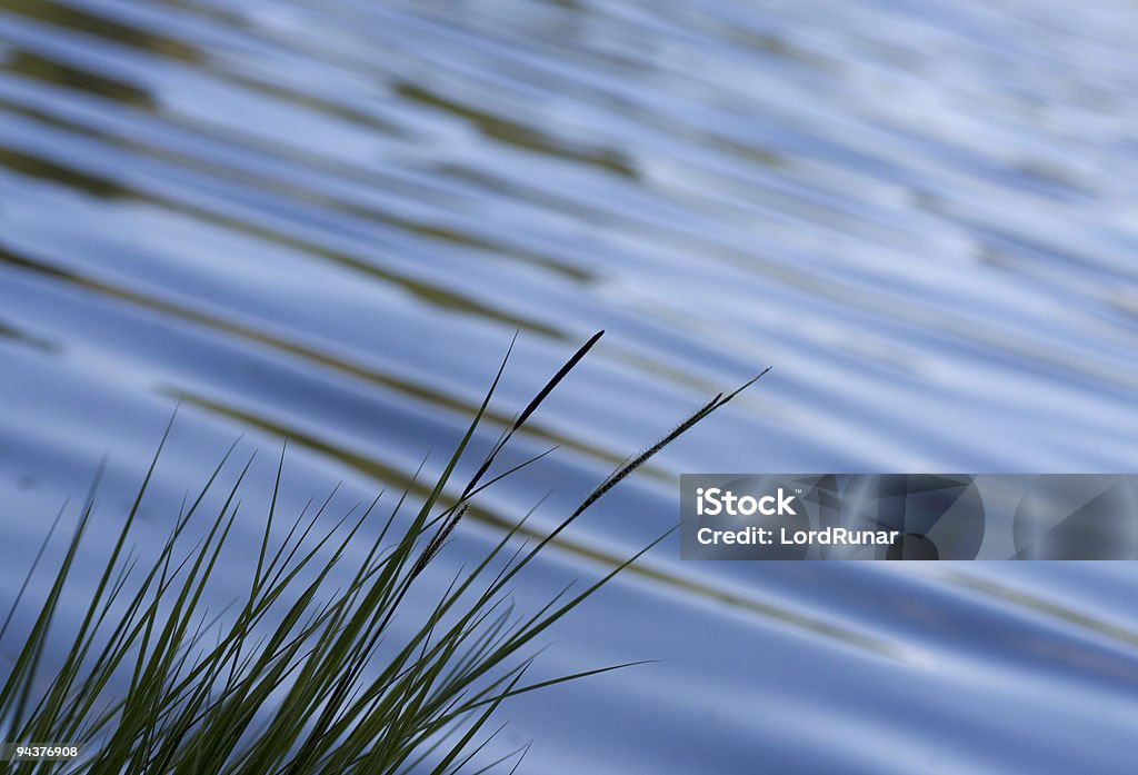 Sfondo giochi d'acqua - Foto stock royalty-free di Acqua