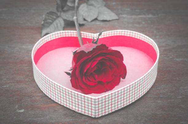 Bouquet of red roses in bedroom.