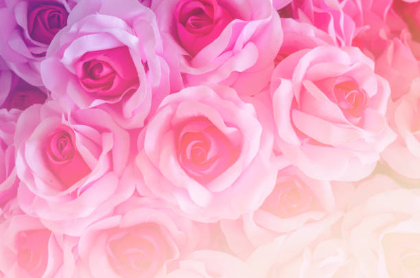 istock rose flower background for Valentine's Day 943772838