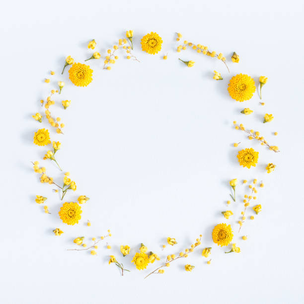 istock Yellow flowers on pastel blue background. Flat lay, top view 943776050