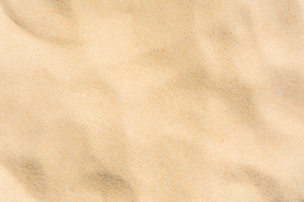 plage de sable peint patterns - sand photos et images de collection