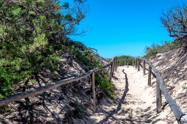 istock path towards the sea through the beach 943780246