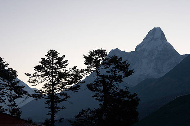 Trees silhouettes with Ama Dablam mountain at sunrise stock photo