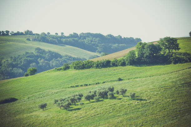 istock marche landscape in italy 943785840
