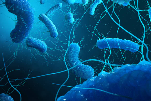 enterobatteri gram negativas proteobacteria, batteri come salmonella, escherichia coli, yersinia pestis, klebsiella. illustrazione 3d - colorazione di gram foto e immagini stock