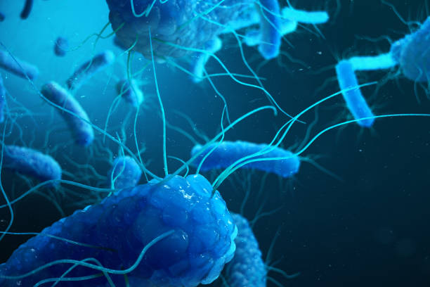 istock 3D rendering Enterobacterias. Gram negativas Proteobacteria, bacteria such as salmonella, escherichia coli, yersinia pestis, klebsiella 943791908