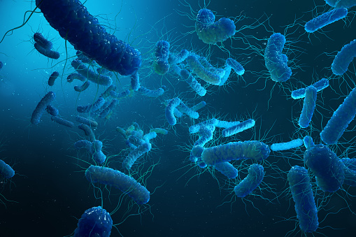 Enterobacterias Gram negativas proteobacterias, bacterias como escherichia coli, salmonella, klebsiella, yersinia pestis. Ilustración 3D. photo