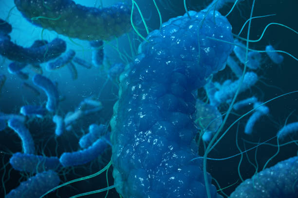 istock 3D rendering Enterobacterias. Gram negativas Proteobacteria, bacteria such as salmonella, escherichia coli, yersinia pestis, klebsiella 943791930