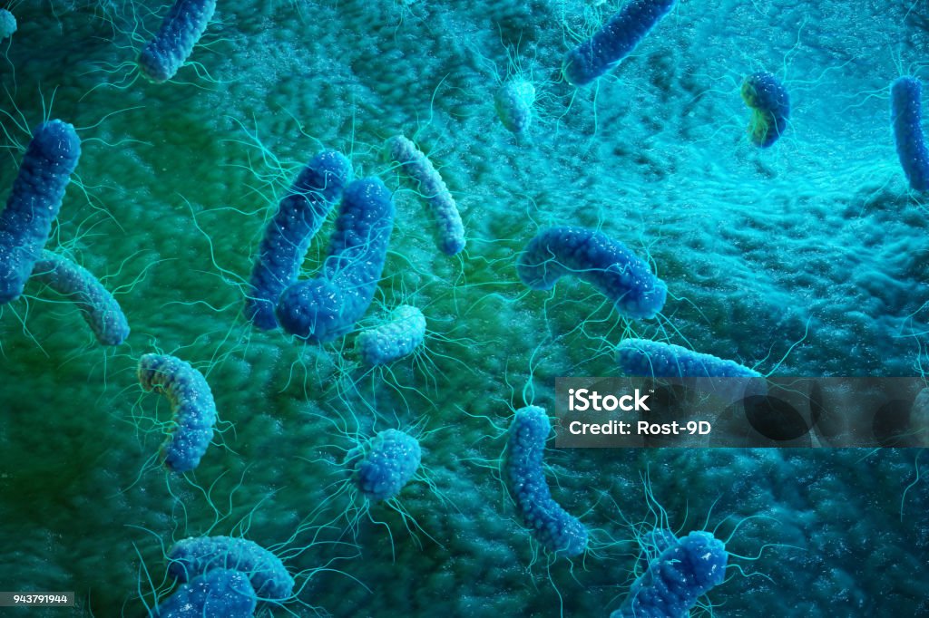 Enterobatteri Gram negativas Proteobacteria, batteri come salmonella, escherichia coli, yersinia pestis, klebsiella. Illustrazione 3D - Foto stock royalty-free di Batterio